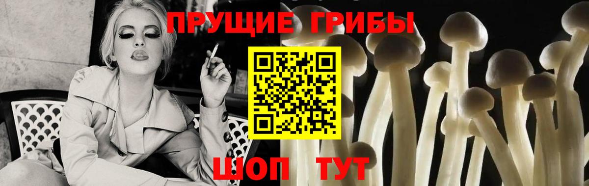 Галлюциногенные грибы Psilocybe  Псилоцибиновые грибы мицелий  Вход с VPN  Дубна 