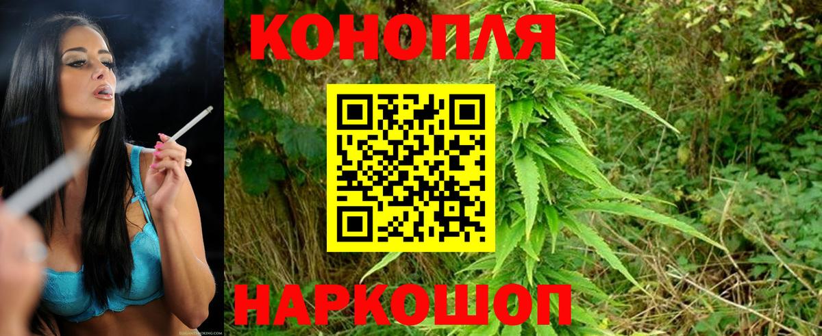 Бошки марихуана индика  Каннабис план  Вход с VPN  Марихуана марихуана  Дубна  Бошки марихуана планчик 
